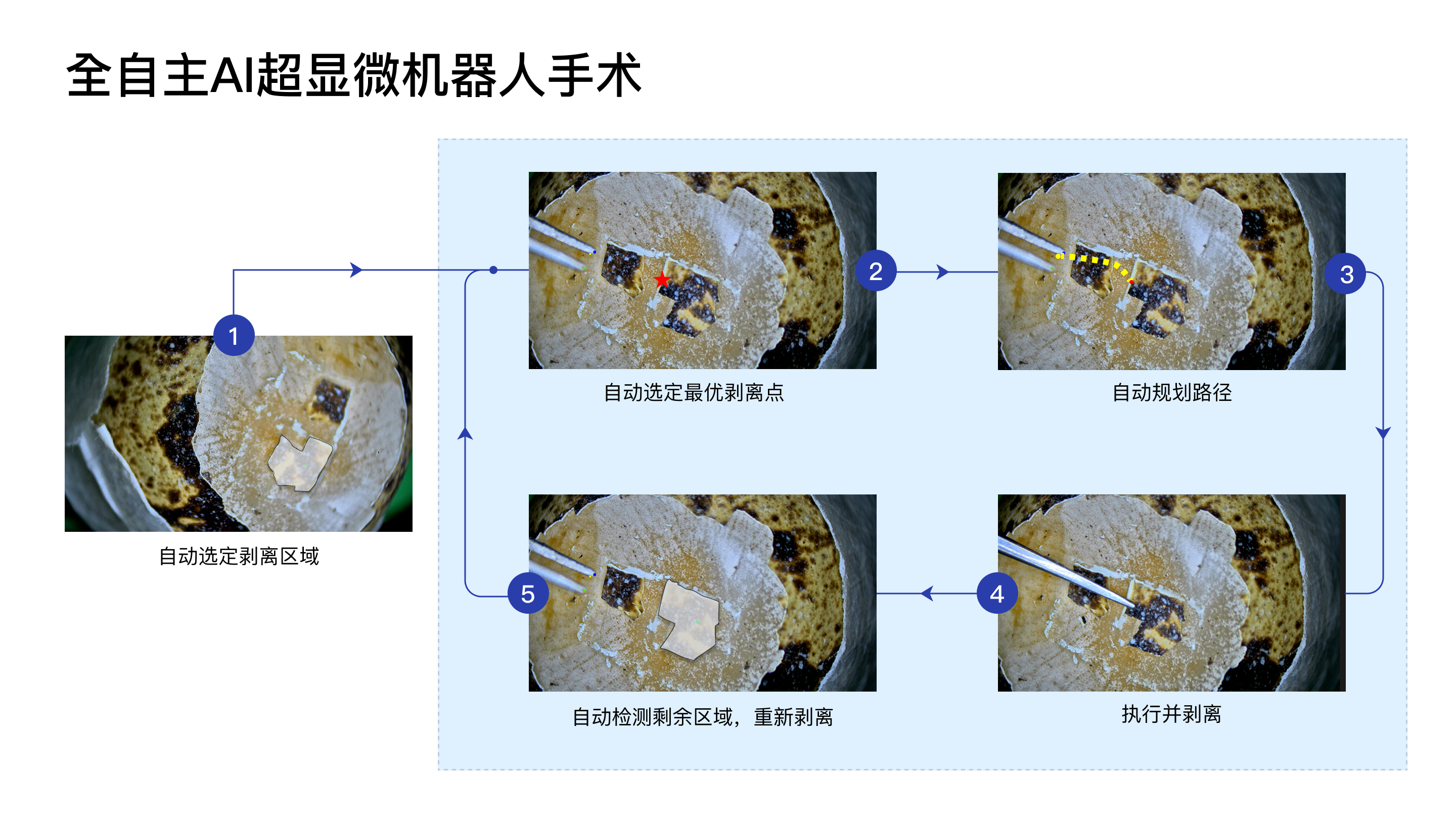 显微系统